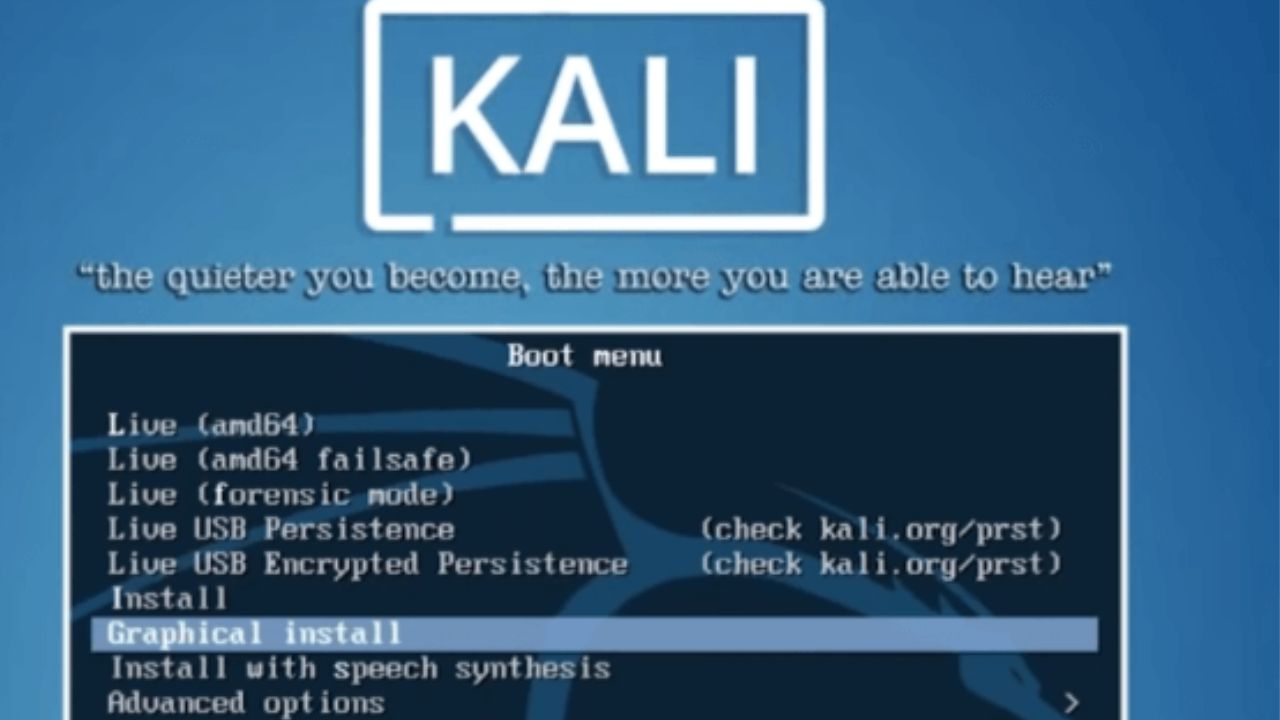 Kali Linux Installation 