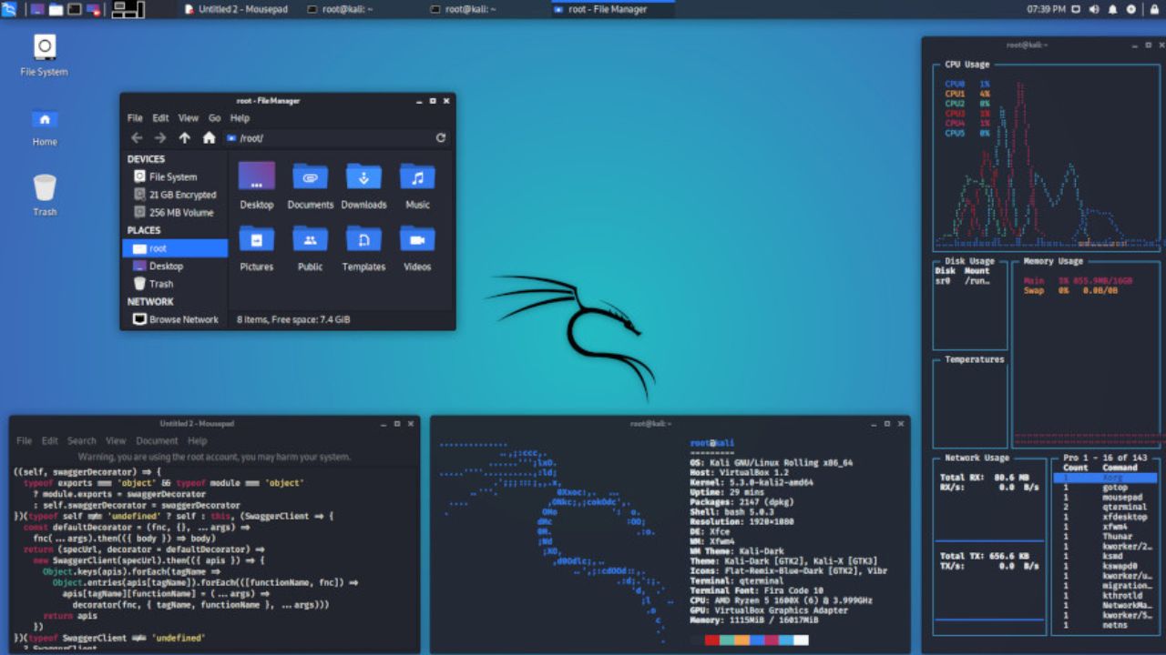 Kali Linux Installation