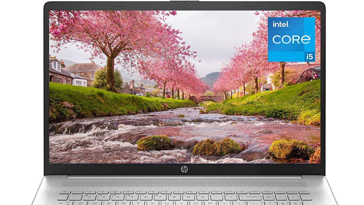 The Best HP Laptop for working Professional Solving Dad