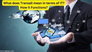What does Transall mean in terms of IT? How it Functions?