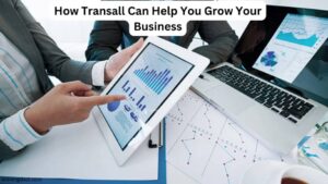 How Transall Can Help You Grow Your Business