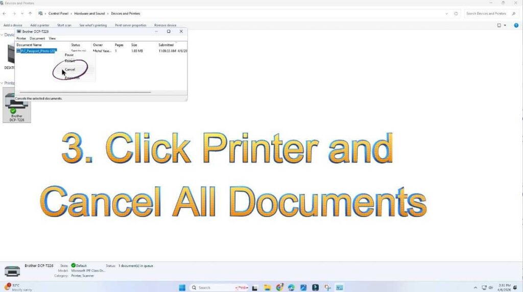 Printer Showing Offline