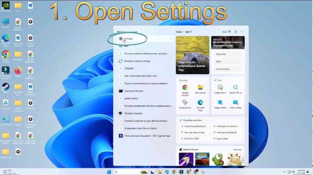 Printer Showing Offline
