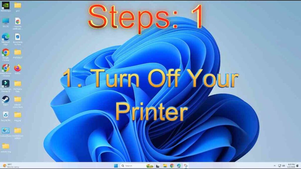 Printer Showing Offline